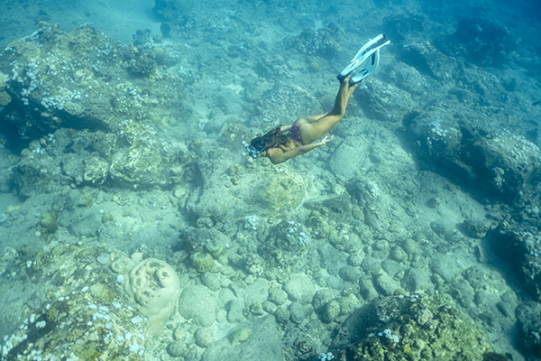 Iles du Nord - Ile Maurice Bons plans
