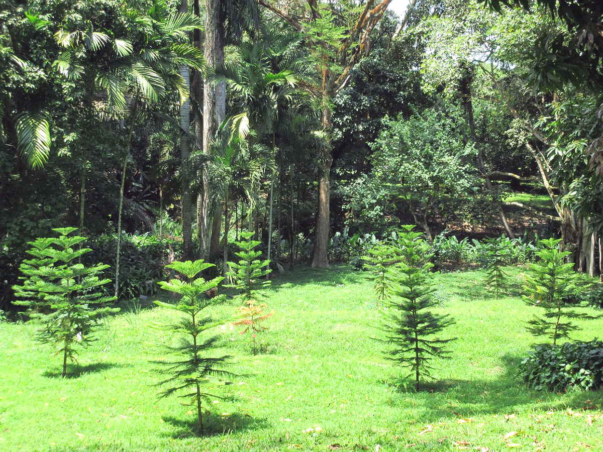 PAGE-Curepipe-4