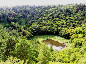 PAGE-Curepipe-7